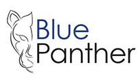 Blue Panther Consulting